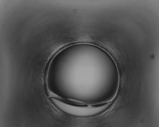 X0000097971212200804011713