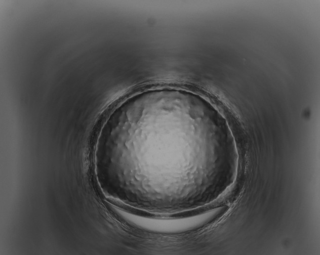 X0000097971213200804011713