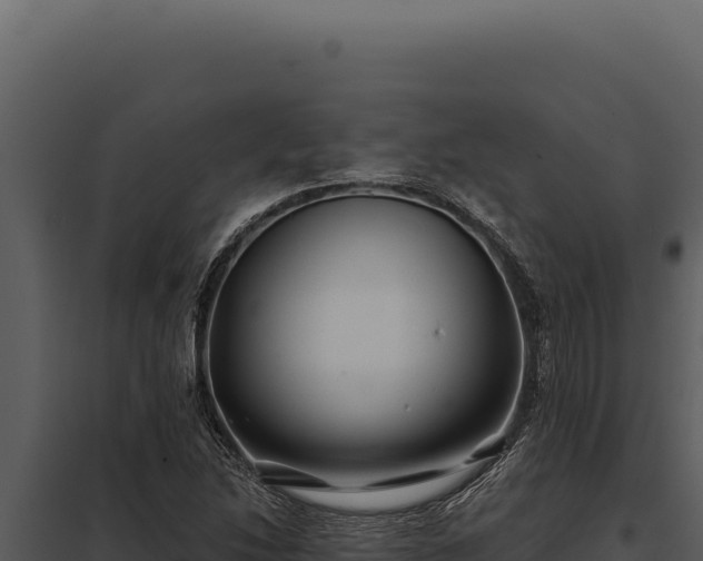 X0000097971214200804011713