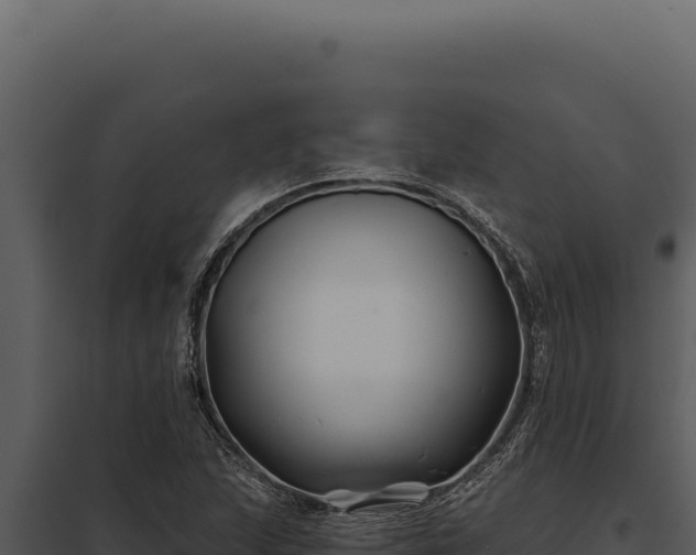 X0000097971215200804011713