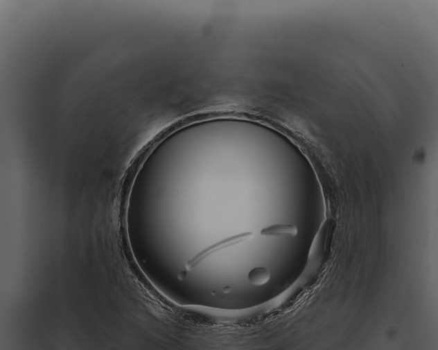 X0000097971216200804011713