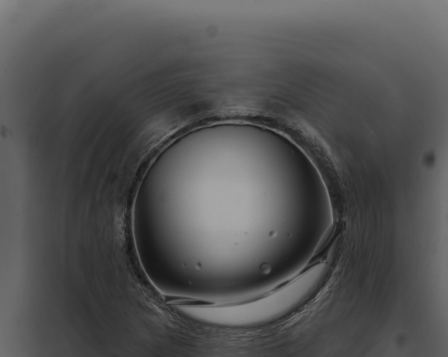X0000097971217200804011713