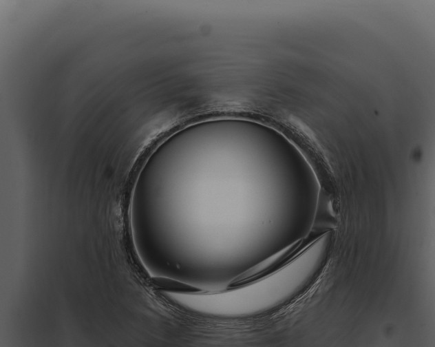 X0000097971218200804011713