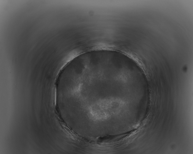 X0000097971219200804011713