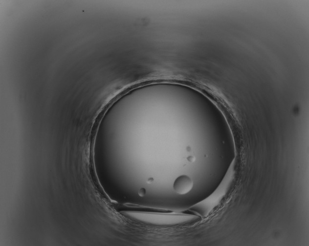 X0000097971220200804011713