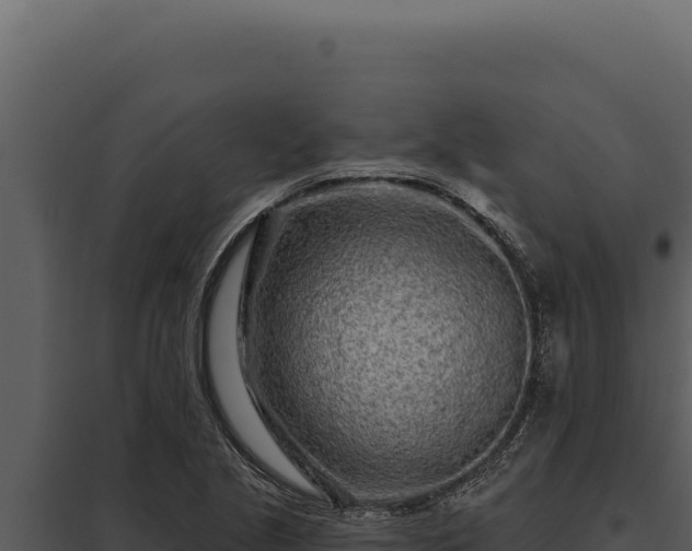 X0000097971221200804011713