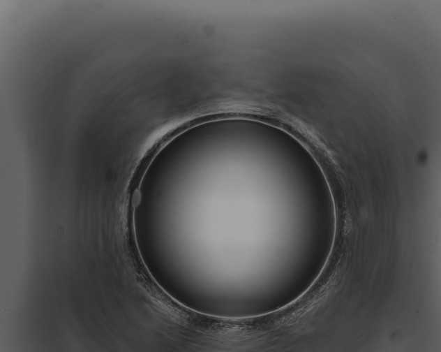 X0000097971222200804011713