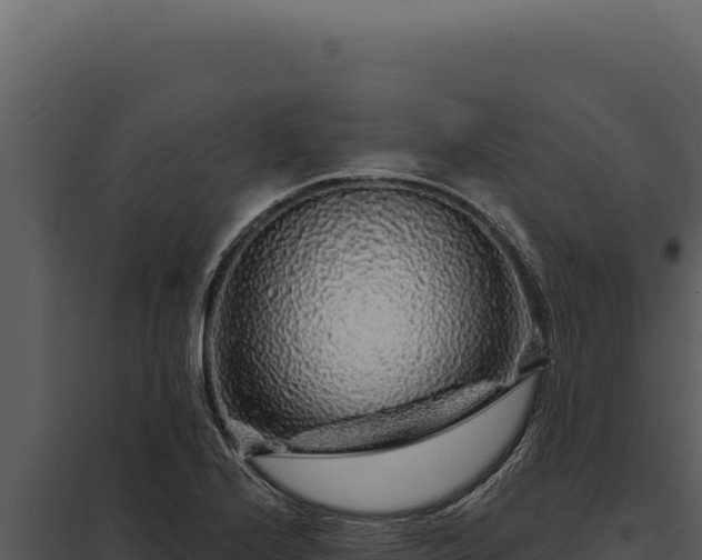 X0000097971224200804011713