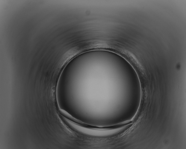 X0000097971225200804011713