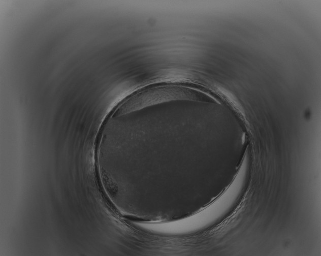 X0000097971226200804011713