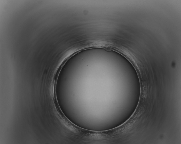 X0000097971227200804011713