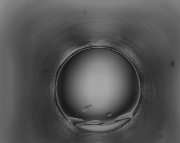 X0000097971228200804011713
