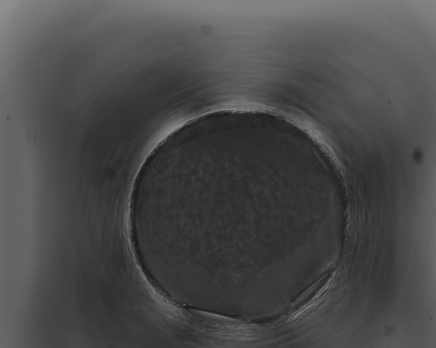 X0000097971229200804011713