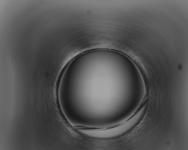 X0000097971230200804011713