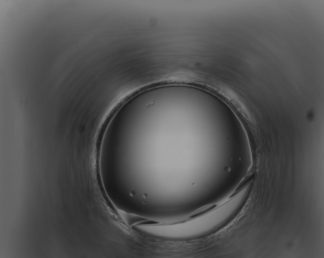 X0000097971232200804011713