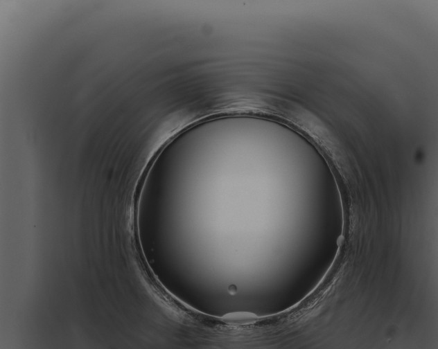 X0000097971234200804011713
