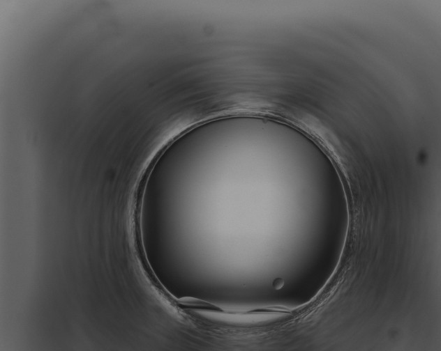 X0000097971235200804011713