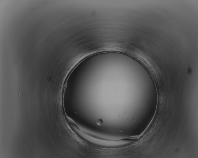 X0000097971236200804011713