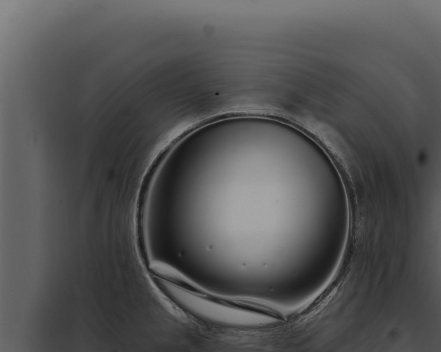 X0000097971237200804011713