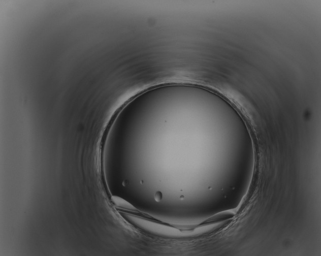 X0000097971238200804011713