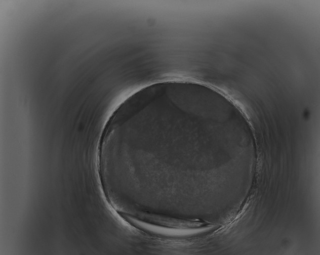 X0000097971239200804011713