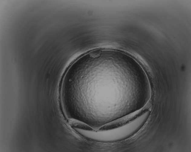 X0000097971240200804011713
