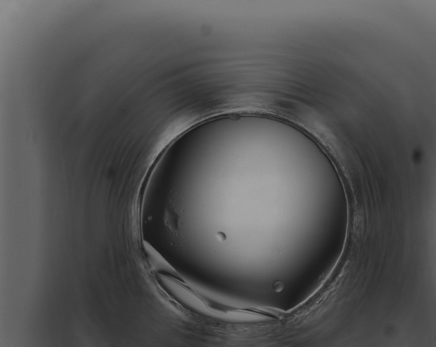 X0000097971242200804011713
