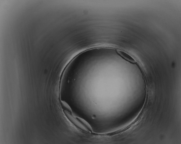 X0000097971244200804011713
