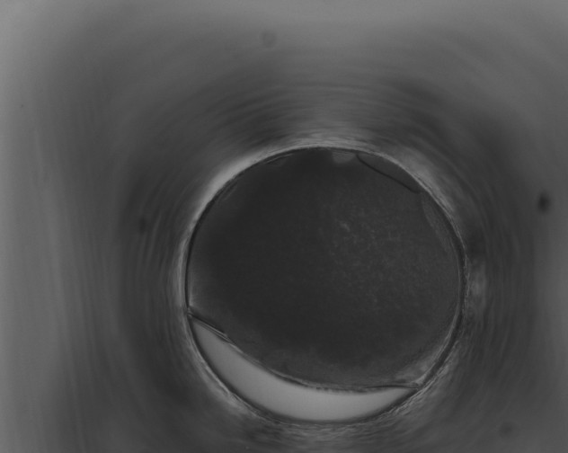 X0000097971246200804011713