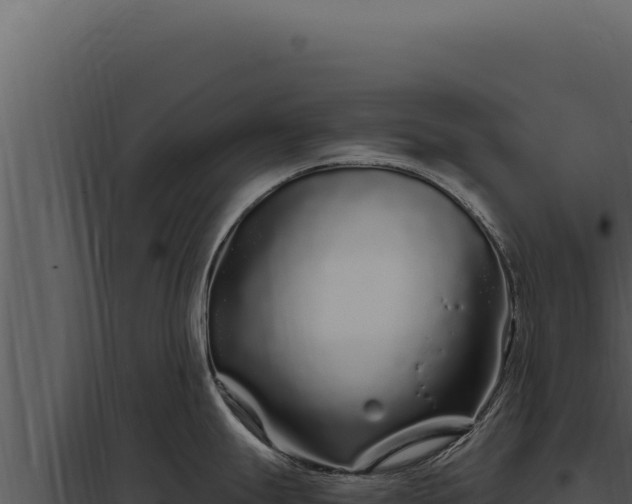 X0000097971247200804011713