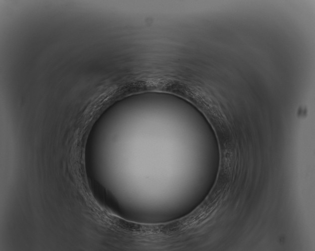 X0000097971249200804011712