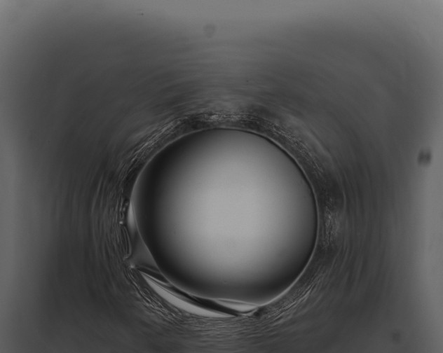 X0000097971250200804011712