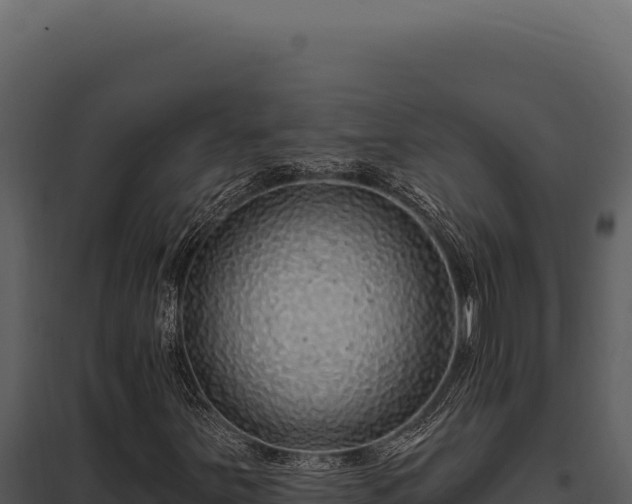X0000097971251200804011712