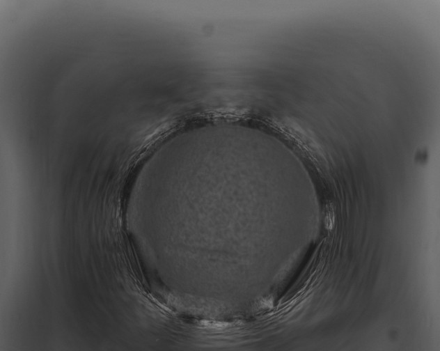 X0000097971252200804011712