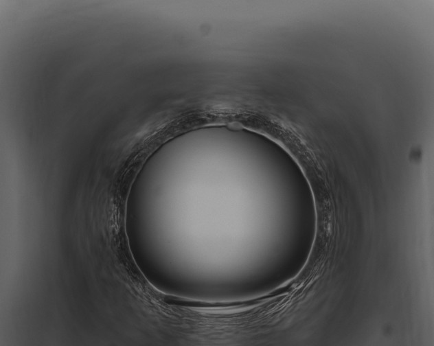X0000097971253200804011712