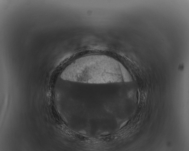 X0000097971254200804011712
