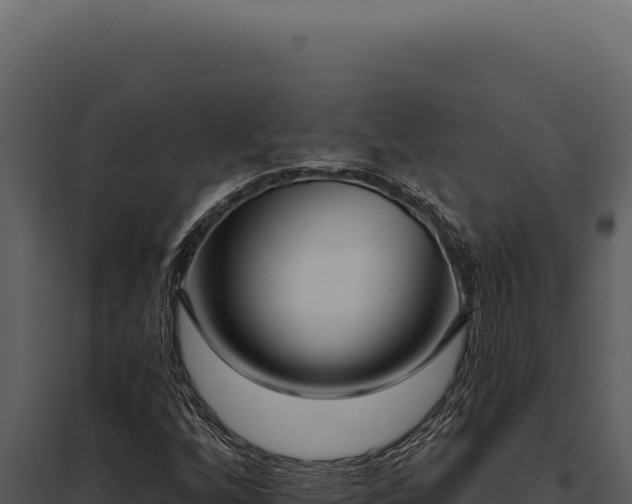 X0000097971256200804011712