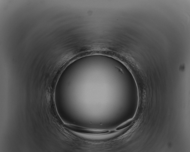 X0000097971257200804011712