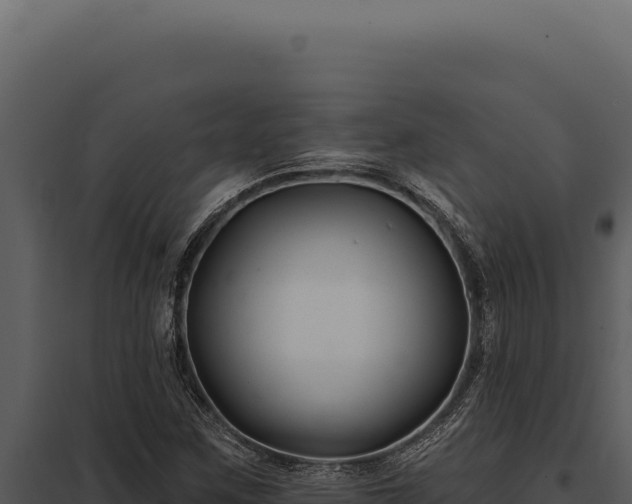 X0000097971259200804011712