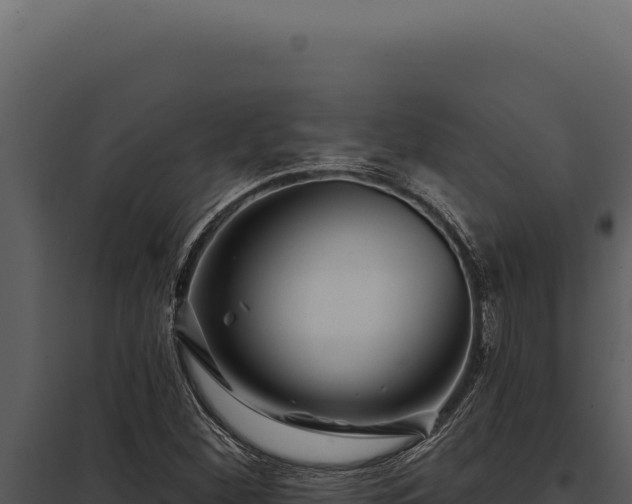 X0000097971260200804011712