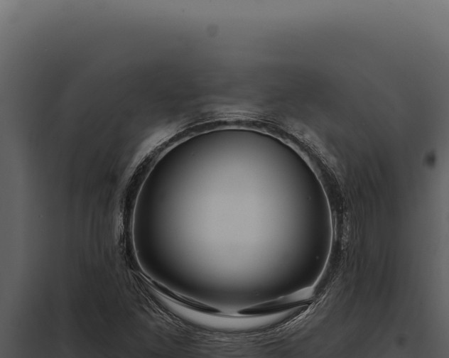 X0000097971261200804011712