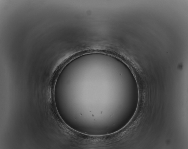 X0000097971262200804011712