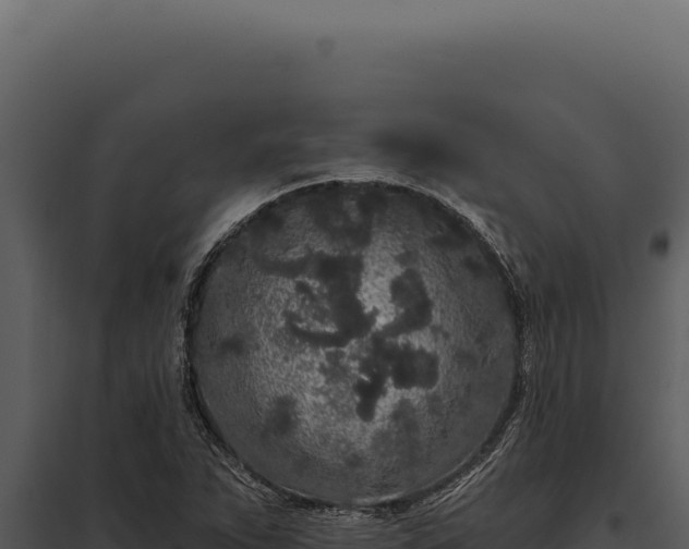 X0000097971263200804011712