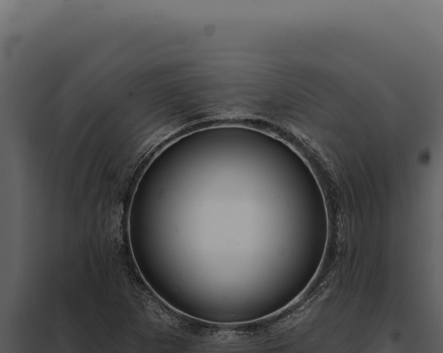 X0000097971265200804011712