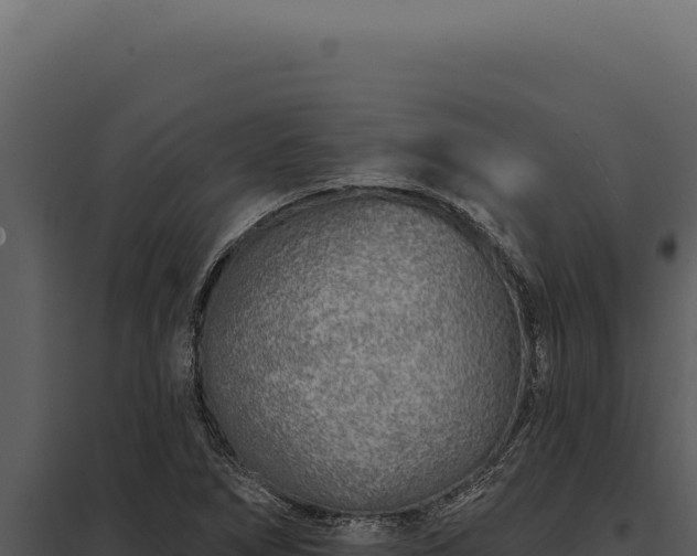 X0000097971266200804011712