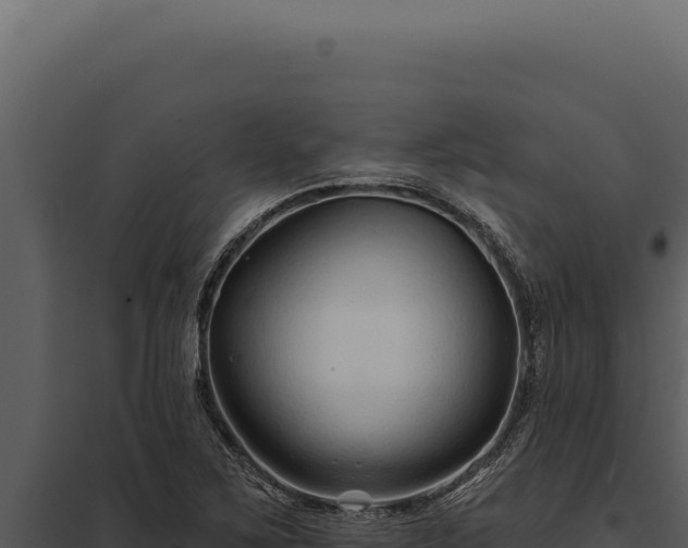 X0000097971267200804011712