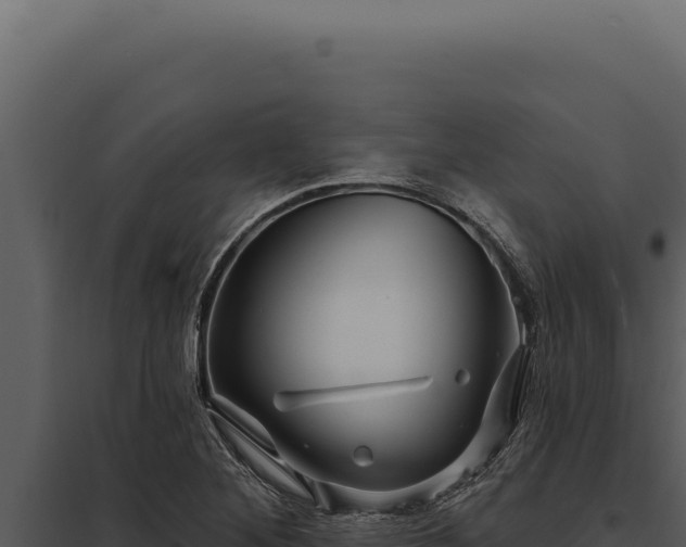 X0000097971268200804011712