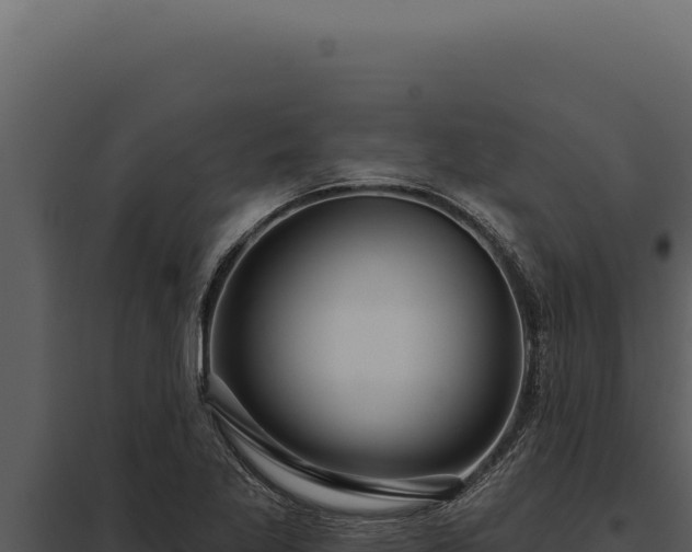 X0000097971269200804011712