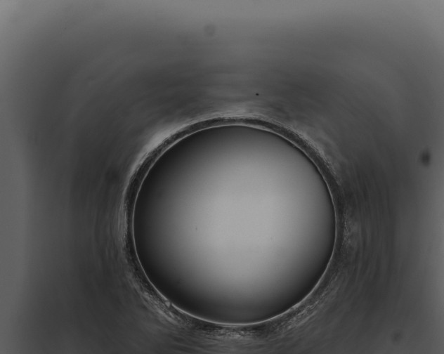 X0000097971270200804011712