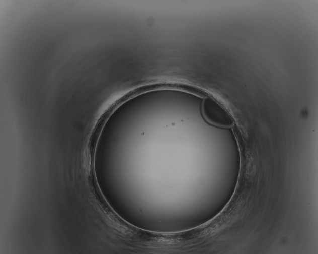 X0000097971271200804011712